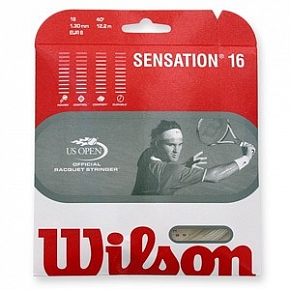 Wilson Sensation 16 String